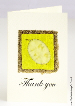 Handmade Thank You cards | Tropical Birthday Cards